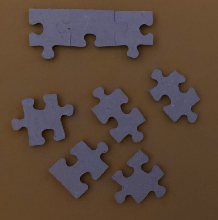 Lady Dorrian's new line of jigsaw non-identification